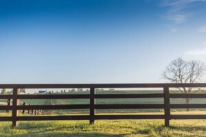 5 Factors Affecting Fence Installation Cost in Clarington